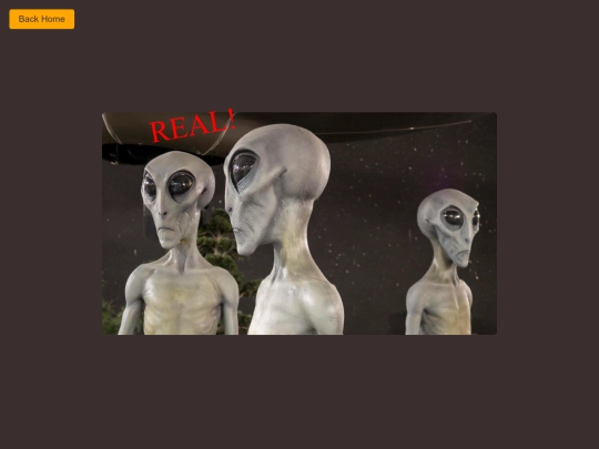 pictures screenshot