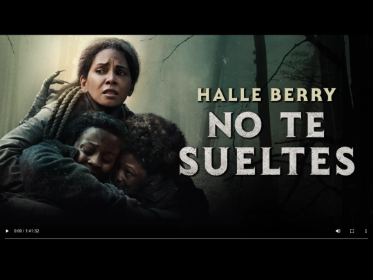 notesueltes screenshot