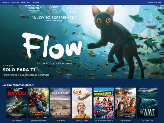 web screenshot