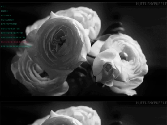 enter8 screenshot