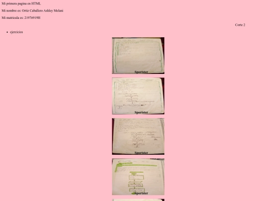 pagina 2 screenshot