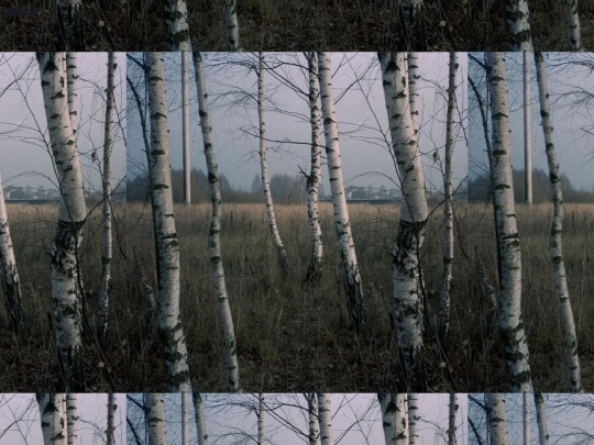palindromos/palindromosabout screenshot