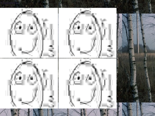 palindromos/palindromoscharacters screenshot