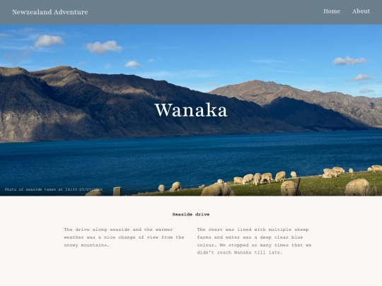 Wanaka screenshot