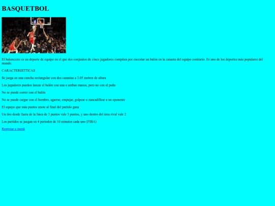 basquetbol screenshot