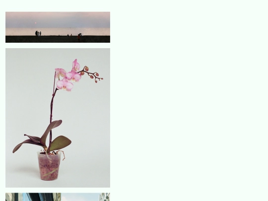 photo screenshot
