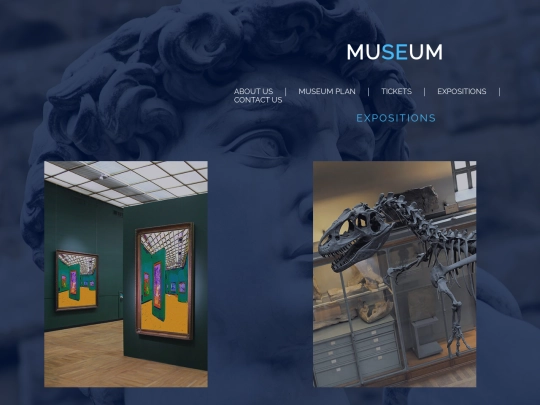 Expositions screenshot