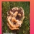 HOT FUNGUS NEAR YOU!!!! avatar