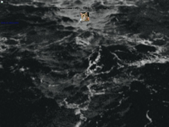 info screenshot