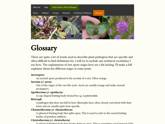 glossary screenshot