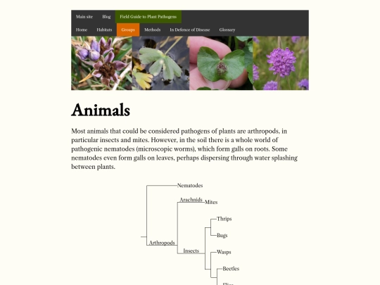 groups/animals screenshot