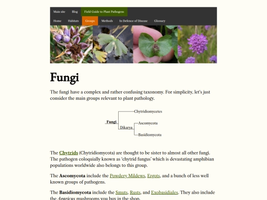groups/fungi screenshot