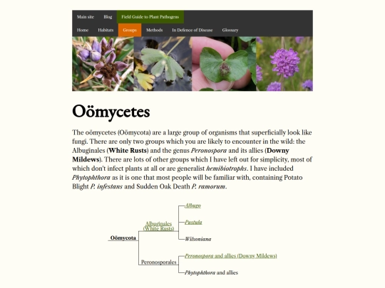 groups/oomycetes screenshot