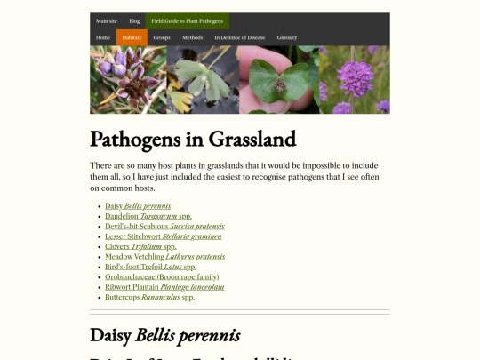habitats/grassland screenshot