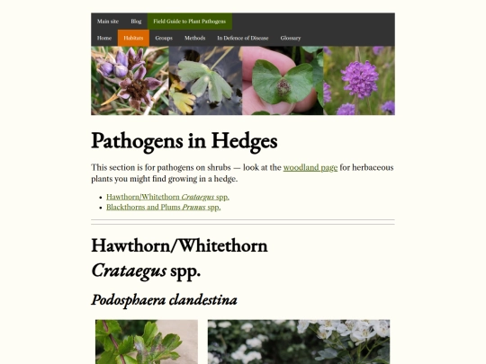 habitats/hedges screenshot