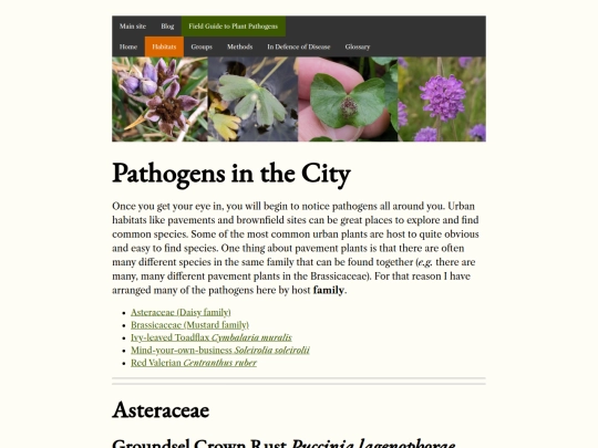 habitats/pathogens_in_the_city screenshot