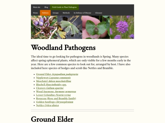 habitats/woodland screenshot