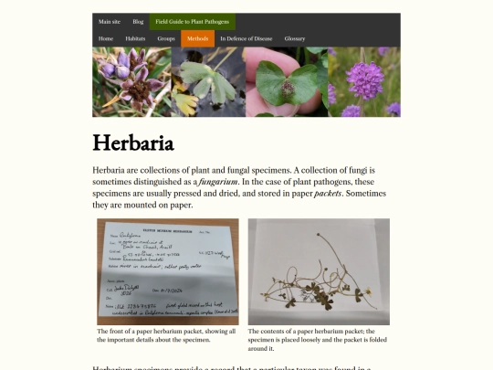 methods/herbaria screenshot