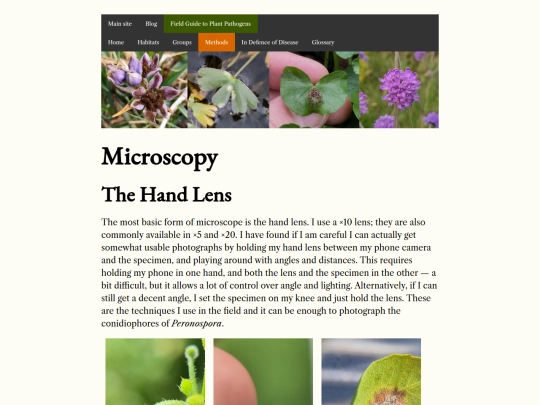 methods/microscopy screenshot