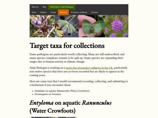 methods/target_taxa screenshot