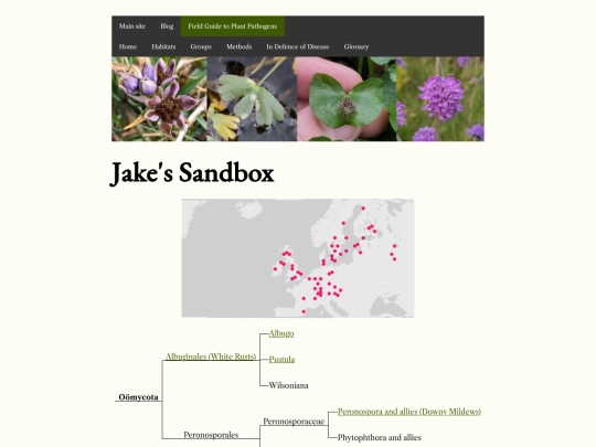 sandbox screenshot