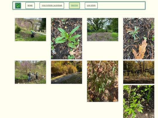 photos screenshot