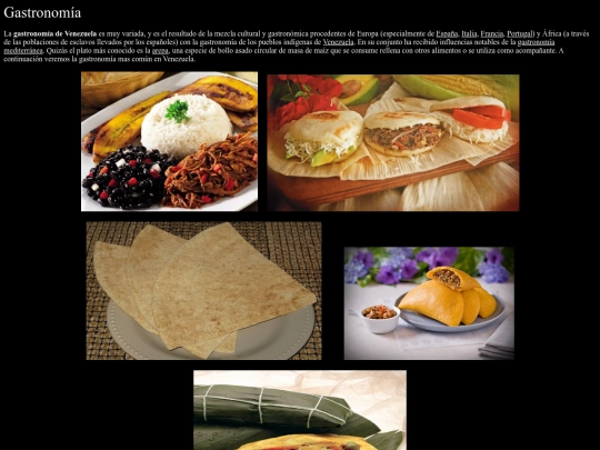 Gastronomía screenshot