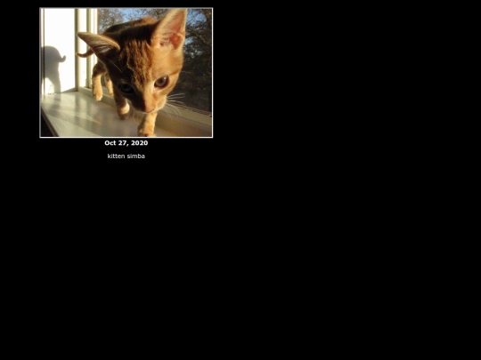 pix/2020 screenshot