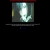 plasticmarionette.neocities.org avatar