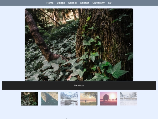2025.02.13/HomePageSlider/Home screenshot