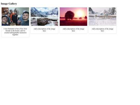 2025.02.13/Image-Gallery/Image-Gallery screenshot