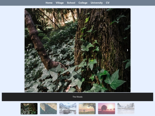 2025.02.14/MyStoryWebsite/Home screenshot