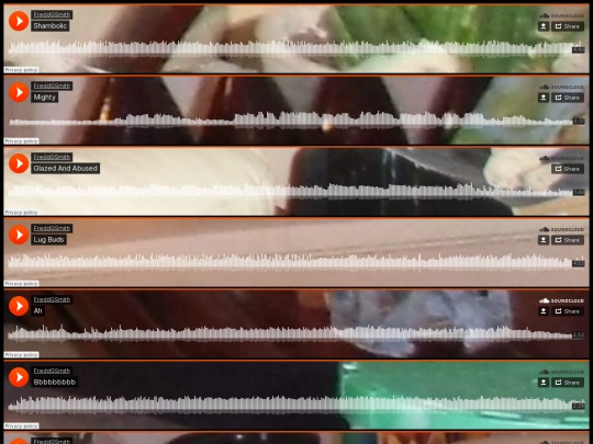 music screenshot
