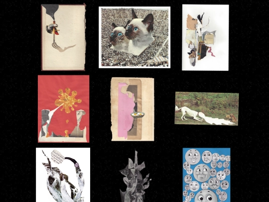 collages screenshot