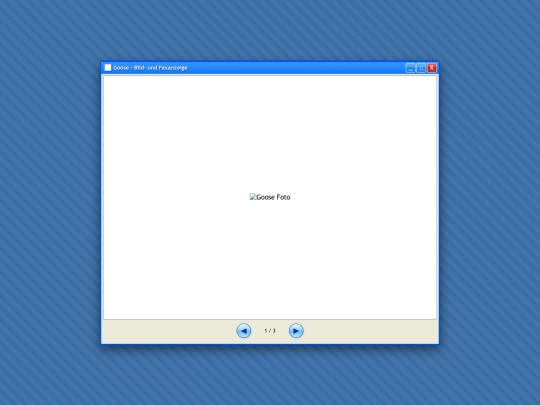 goose screenshot