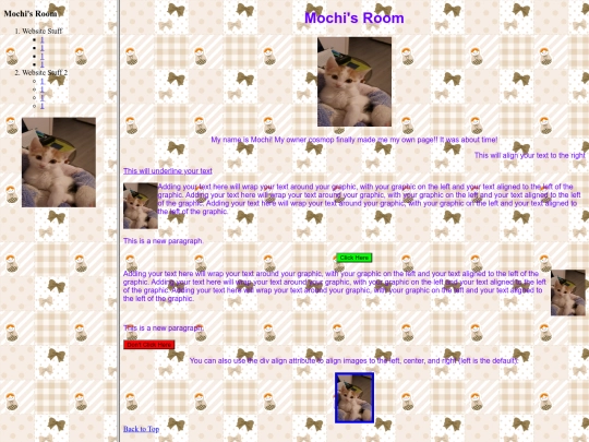 indexmochi screenshot