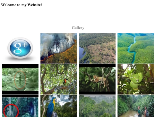 gallery/gallery screenshot