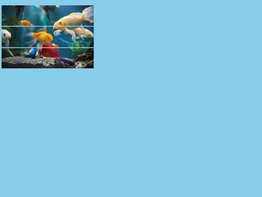 puzzle/puzzle screenshot