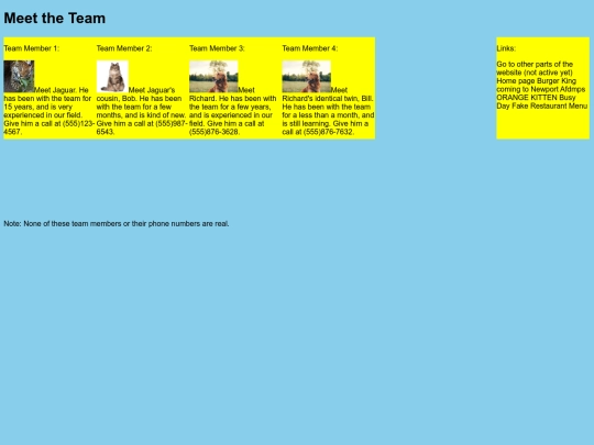 team screenshot