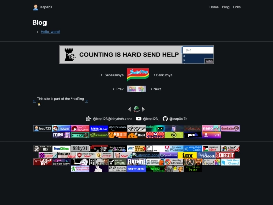 blog screenshot