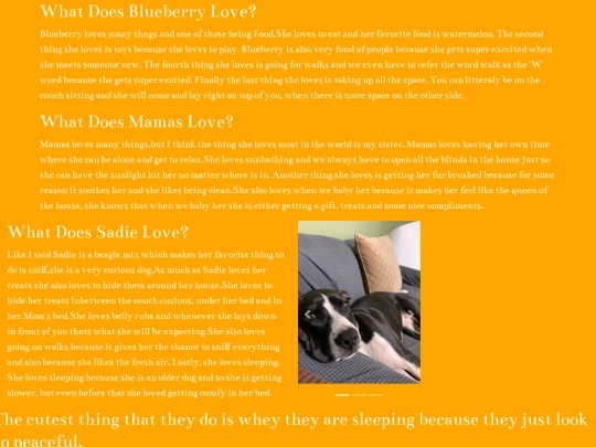bootpage5 screenshot