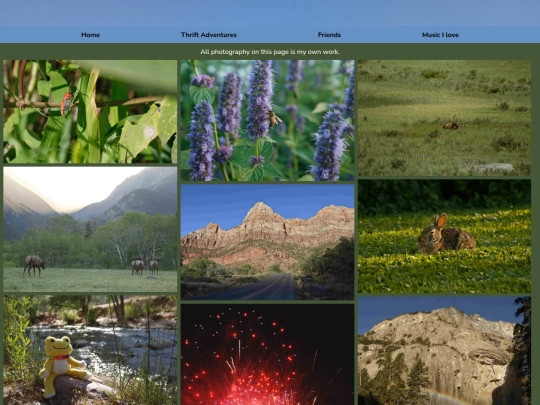 photography screenshot