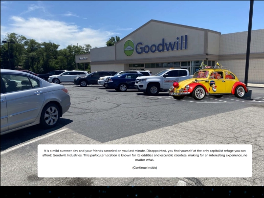 thriftstore/clothessection screenshot