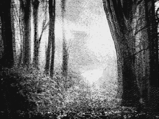 betweenwoods screenshot