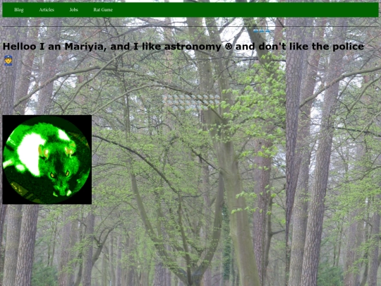 blog screenshot