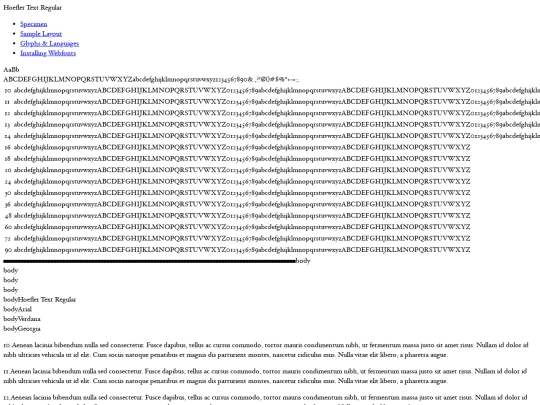 static/fonts/hoefler_text_regular-demo screenshot