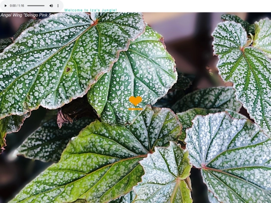 plants screenshot