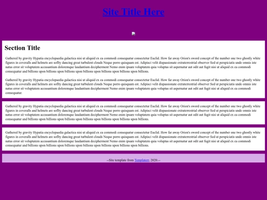 site/test screenshot