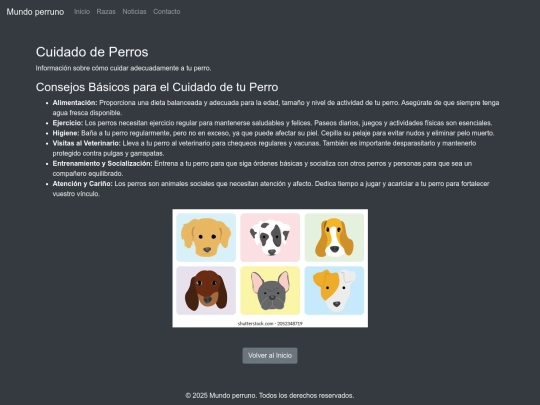 cuidado screenshot
