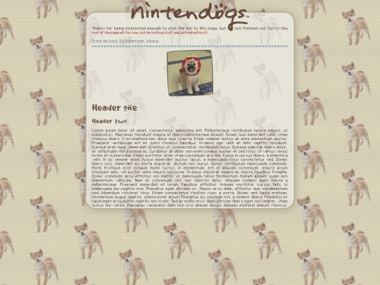 shrines/nintendogs screenshot